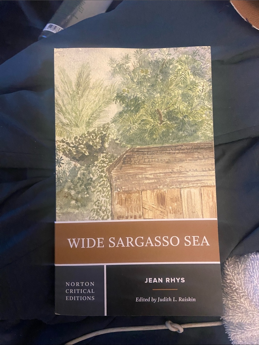 wide sargasso sea by jean rhys